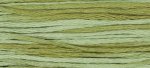 (image for) Dried Sage